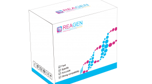 對蝦桿狀病毒（BP）DNA恒溫核酸檢測試劑盒（不含提?。? height='100'>
			</a>
		</figure>
		<h4 class=